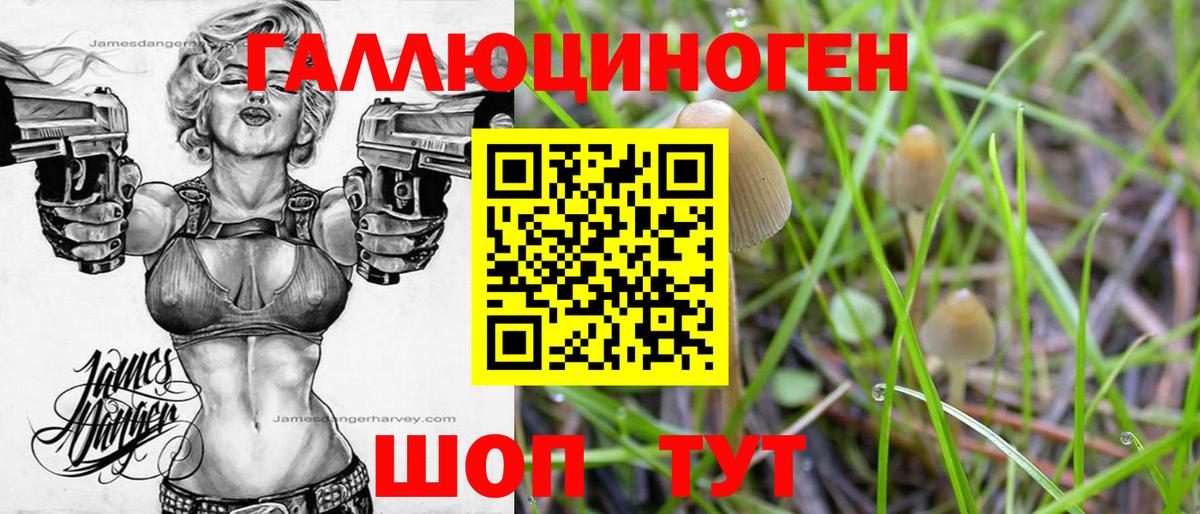 Галлюциногенные грибы прущие грибы Муром