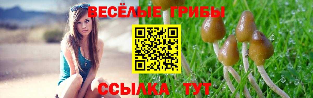 Галлюциногенные грибы мухоморы  Псилоцибиновые грибы Cubensis  Вход с VPN  Муром 